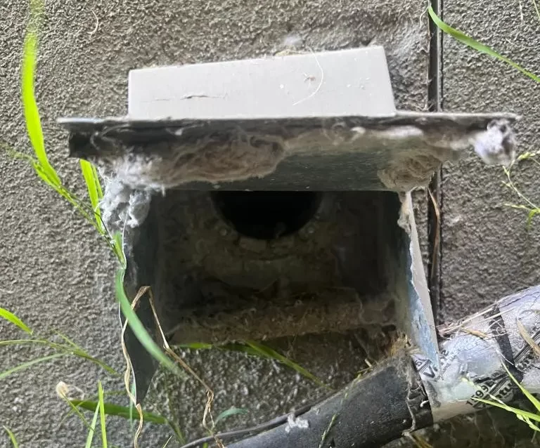 Homeowner receiving professional Dryer Vent Cleaning from Vent Wise - Air Duct Cleaning Services.